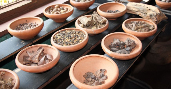 Ayurvedic Herbs: What They Are, Properties, and How to Use Them