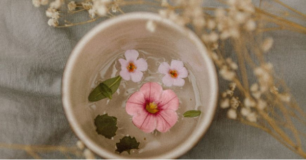 Acqua di San Giovanni: Cos’è, Leggenda e Ricetta per Prepararla	