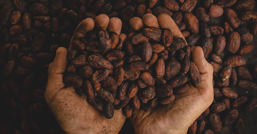 A la découverte du cacao : Aphrodisiaque naturel et de nombreuses autres propriétés