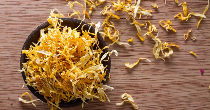 Calendula : Propriétés, Bienfaits et Utilisations en Herboristerie et Soin de la Peau