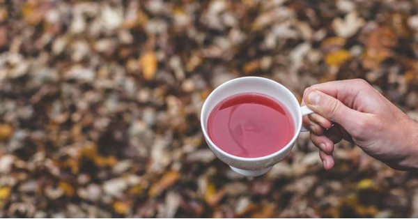 How to make herbal teas to take with you outside the house