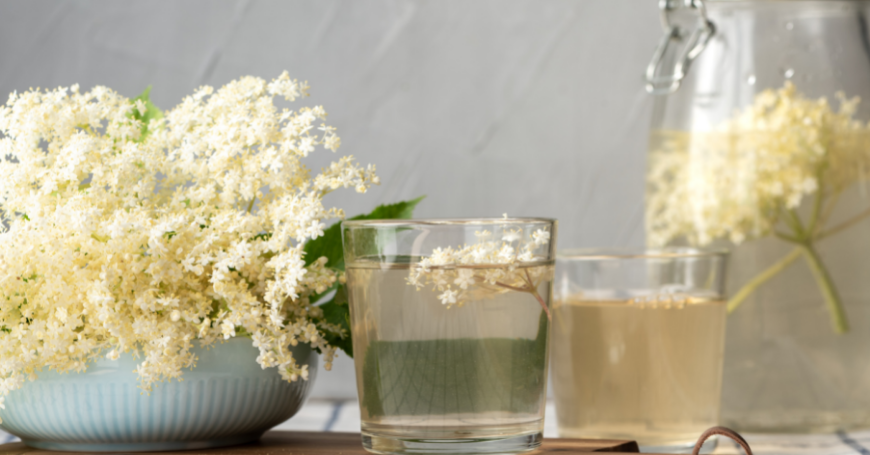 Elderflowers: Properties, Uses in the Kitchen, and Recipes