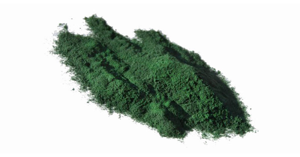 Fokus auf Pflanzen: Spirulina-Alge