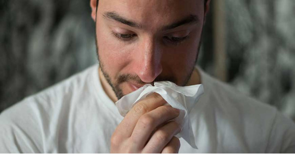 Infusiones contra el resfriado, dolor de garganta y tos