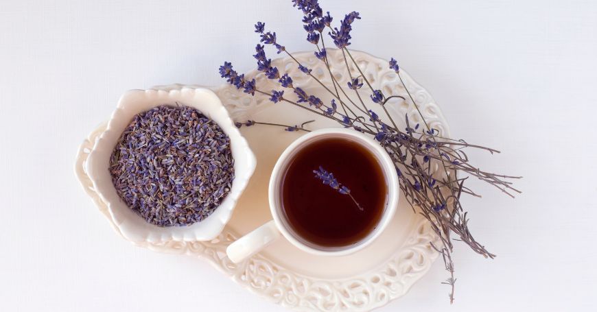 Lavanda: Proprietà, Benefici, Usi, Controindicazioni