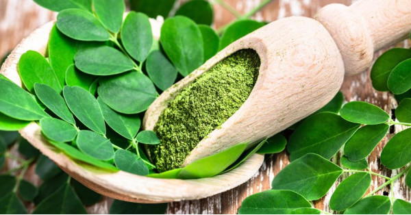 Moringa (Moringa Oleifera): properties, benefits, and uses