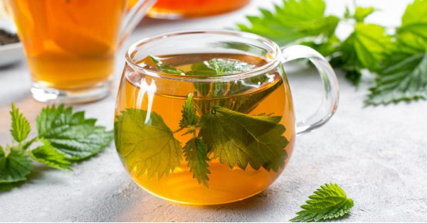 Nettle: Properties, Benefits, Uses in Herbal Medicine and Recipes