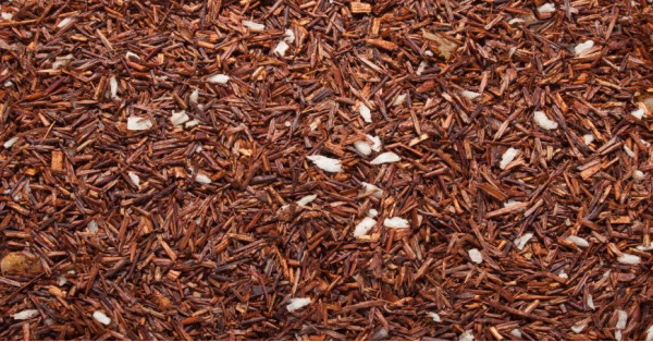 Rooibos: Eigenschaften, Vorteile und Kontraindikationen des Roten Tees