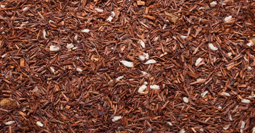 Rooibos: Properties, Benefits, and Contraindications of Red Tea