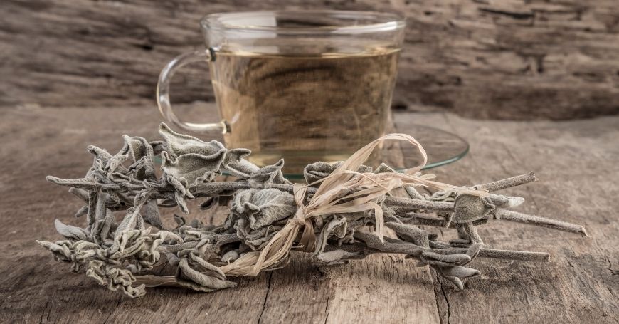 Sage Herbal Tea: Properties and Recipe of the Beneficial Infusion