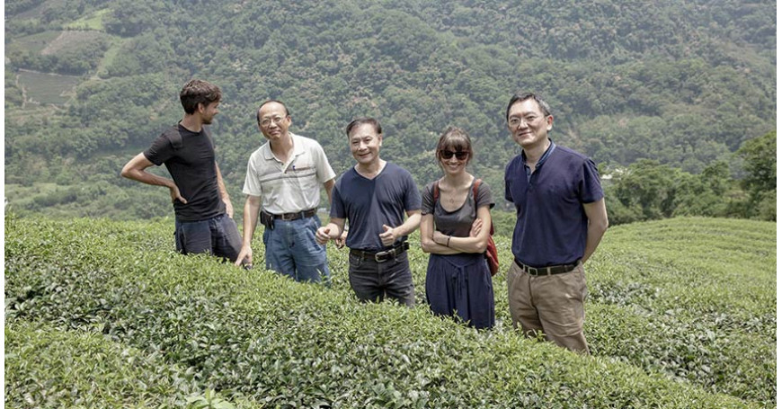 Reise zur Entdeckung der Teestätten: Taiwan