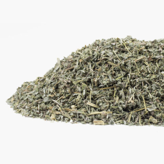 Wermut, Artemisia absinthium