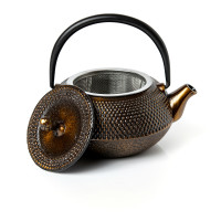 Cast iron teapot with Akane filter -300 ml-