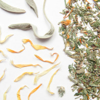 Venus herbal tea, restores balance