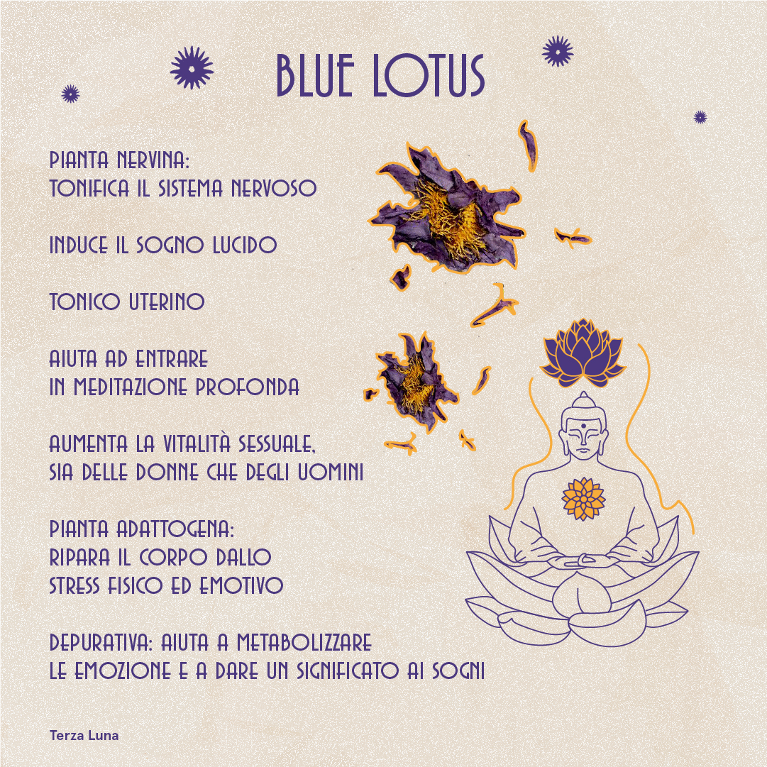Il fiore di loto blu tra sogno e realtà