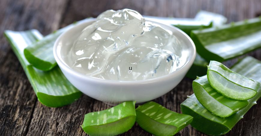 Aloe Vera Gel in einer Schüssel umgeben von Blättern