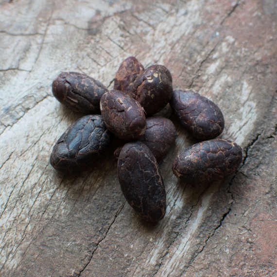 fèves de cacao pur