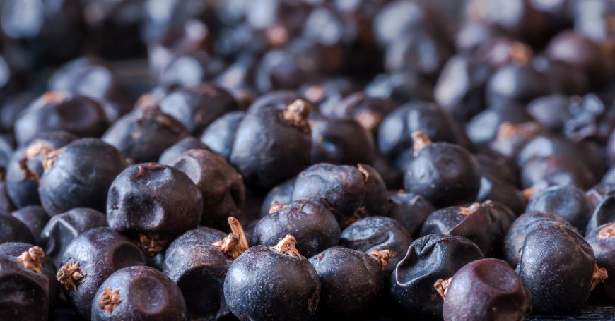 juniper berries