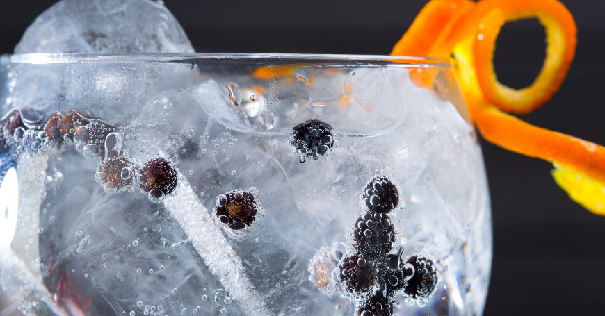 glass of gin tonic with juniper berries