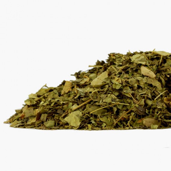 moringa herbal tea
